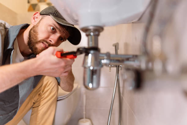 Best Local Plumber Services  in Wayland, MI