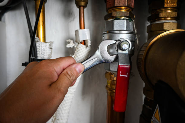 Best Emergency Plumber  in Wayland, MI